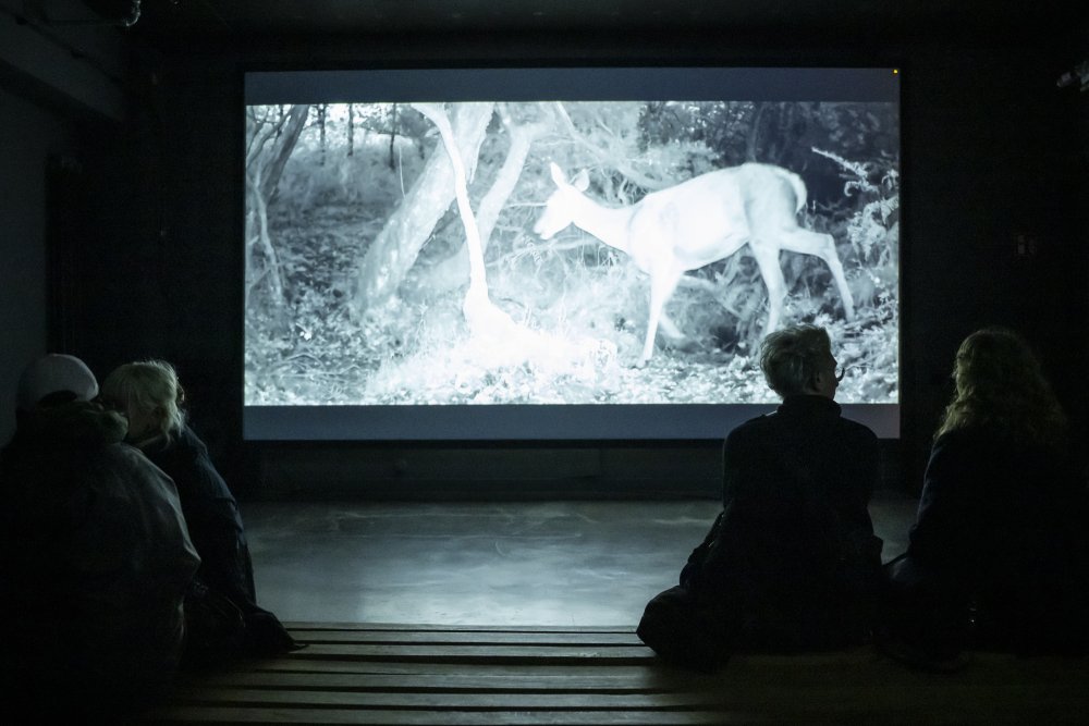 Nature makes no noise von Davor Sanvincenti | © Bernd Brundert