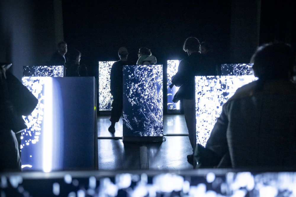 Meditative Cohabitation von Studio Above&amp;Below (Daria Jelonek &amp; Perry-James Sugden) | © Bernd Brundert